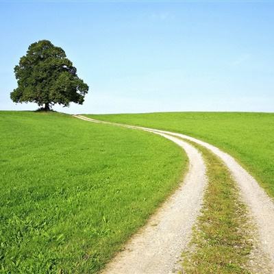 注册就送38的平台app下载