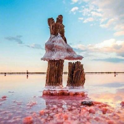 亿博app官网首页